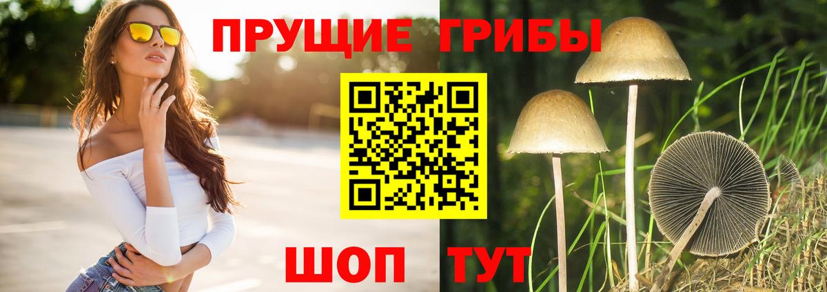 Галлюциногенные грибы прущие грибы  Вход с VPN  Мирный 